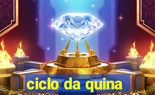 ciclo da quina